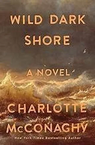 Wild Dark Shore cover