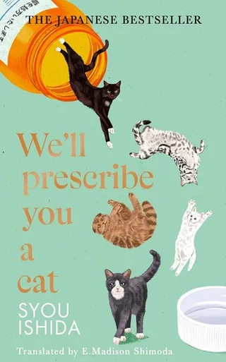 We’ll prescribe you a cat cover