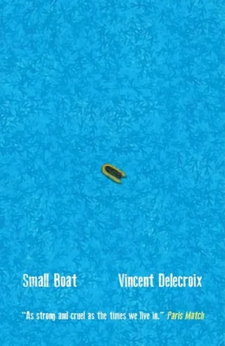 Small boat cover